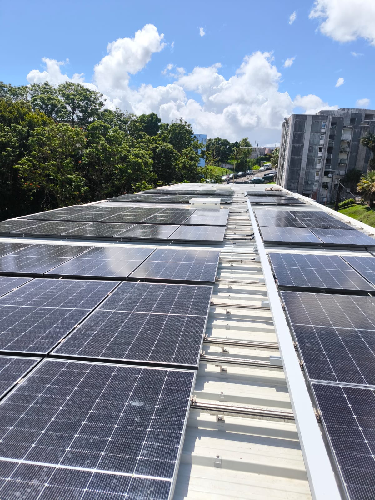 Installation solaire professionnelle 54 kWc champ solaire Fort-de-France Martinique - DOMOTOOLS SOLAR